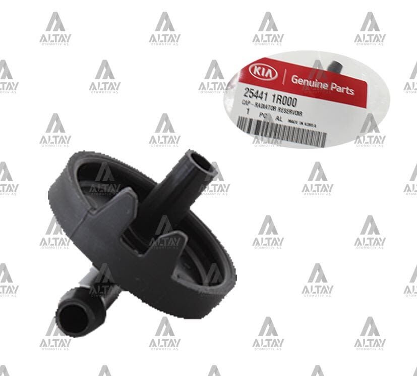 YEDEK SU DEPO KAPAĞI ACCENT 11=> BLUE MBS-254411R000