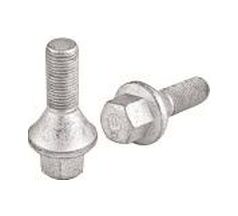 Mtj 5574 Bıjon Cıvatası 19mm Master Ym