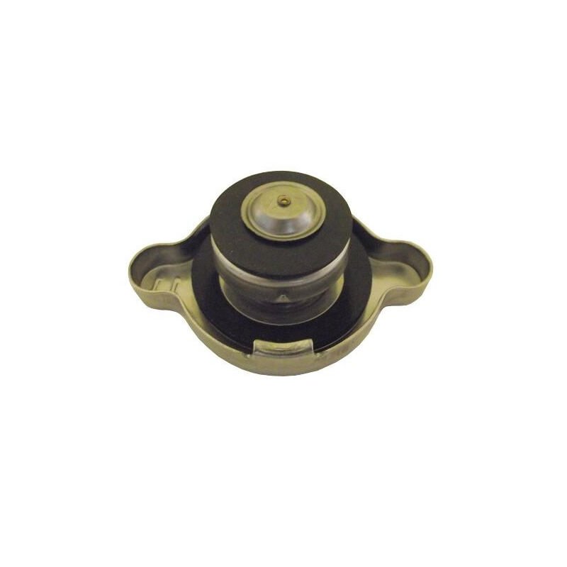 RADYATÖR KAPAĞI 0.9 H100 94- / L300 87-09 CHENDEN 25330-36000